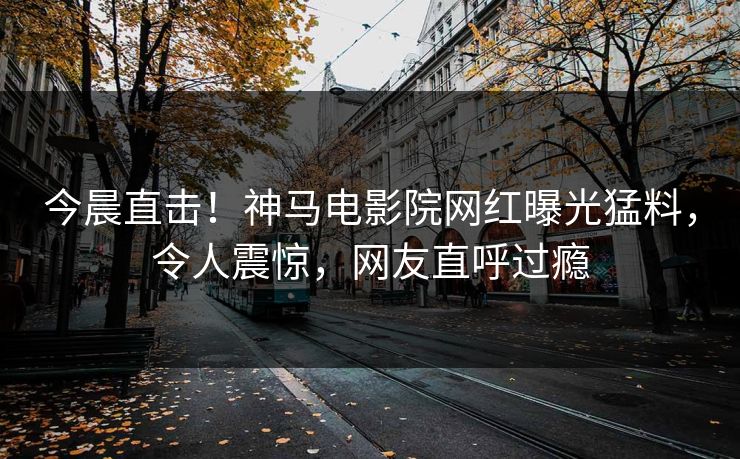今晨直击！神马电影院网红曝光猛料，令人震惊，网友直呼过瘾