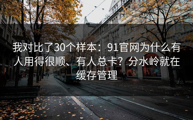 我对比了30个样本：91官网为什么有人用得很顺、有人总卡？分水岭就在缓存管理